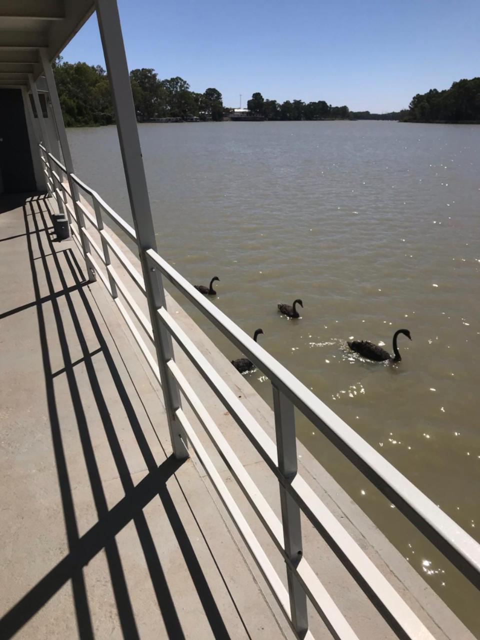 Murray River Queen Hotel Renmark Esterno foto